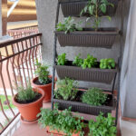 Orto in balcone
